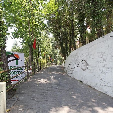 Oyo 5248 Surbee Resorts Mussoorie Eksteriør billede